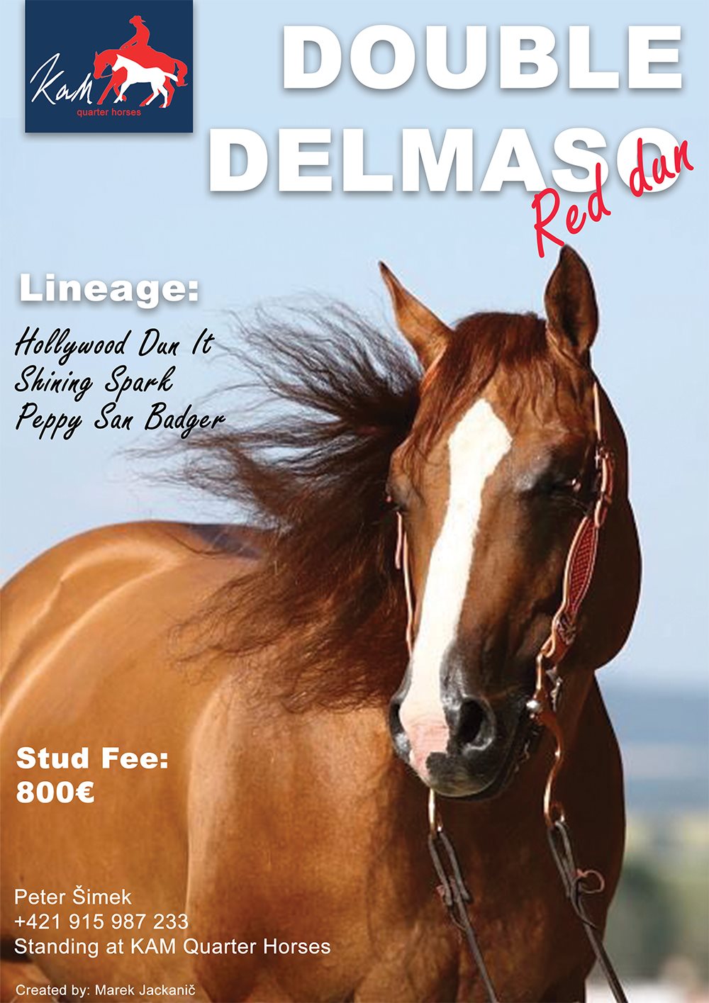 delmaso1